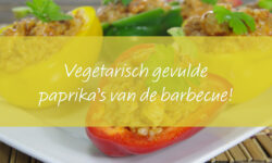 Vegetarisch gevulde paprika van de barbecue-1