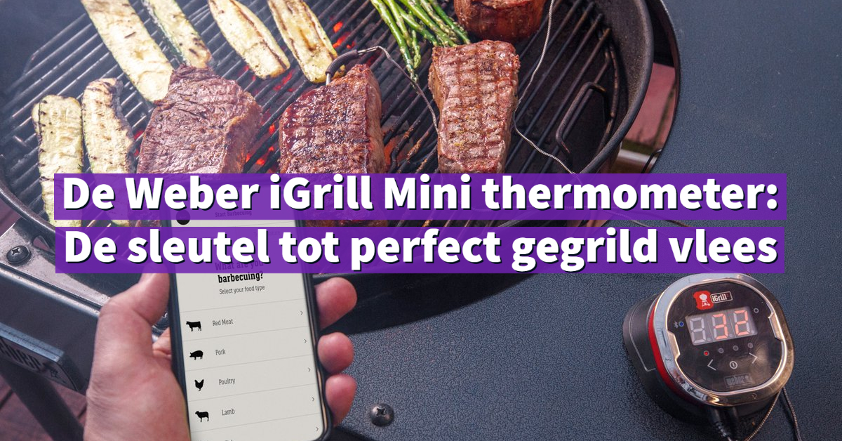De Weber iGrill Mini thermometer_ De sleutel tot perfect gegrild vlees-1